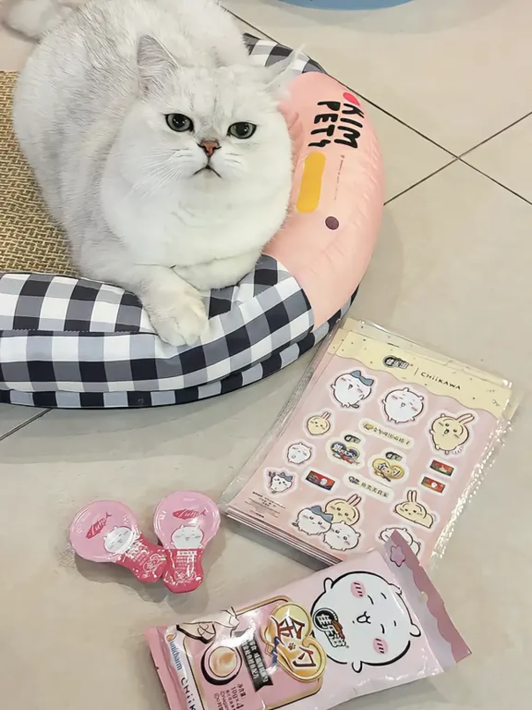 给猫买吃的用的,佳乐滋这三样怎么选?