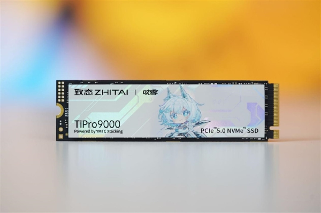 吹雪海景房专属！长江存储致态TiPro9000吹雪联名版图赏