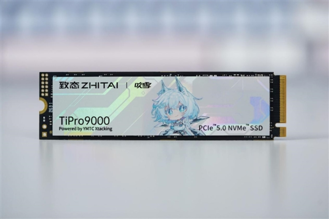 吹雪海景房专属！长江存储致态TiPro9000吹雪联名版图赏