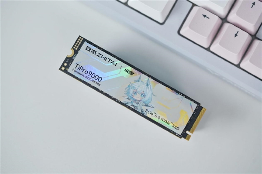 吹雪海景房专属！长江存储致态TiPro9000吹雪联名版图赏