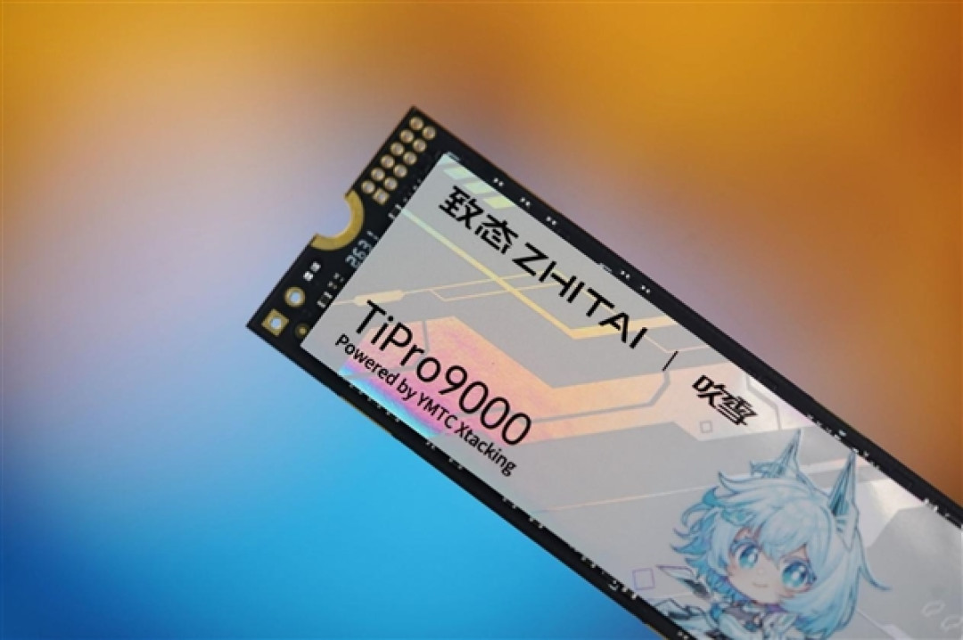吹雪海景房专属！长江存储致态TiPro9000吹雪联名版图赏
