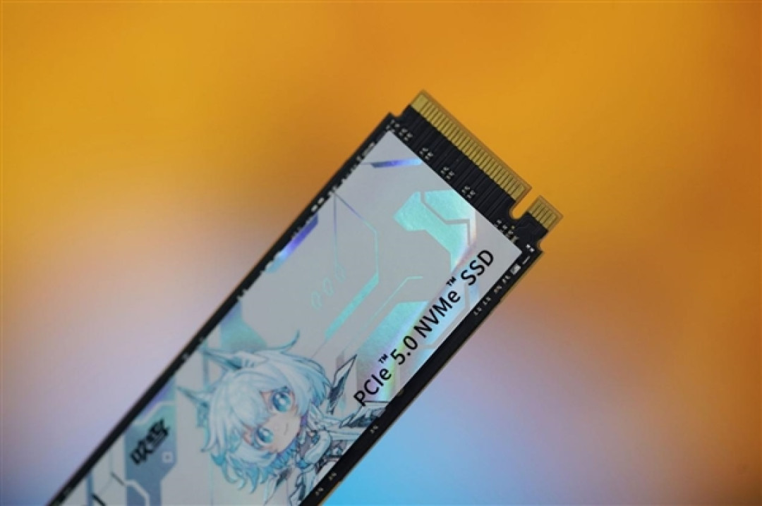 吹雪海景房专属！长江存储致态TiPro9000吹雪联名版图赏