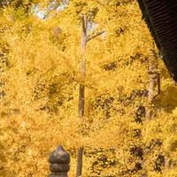 鱼油到手先翻哪一面,从包装到报告顺着看一遍
