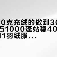 黑冰290克充绒的做到300元档，凯乐石1000蓬站稳4000元档：双11羽绒服凭什么差十倍？