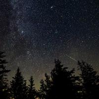 从狮子到双子：流星归肉眼，星特朗那晚有3份工
