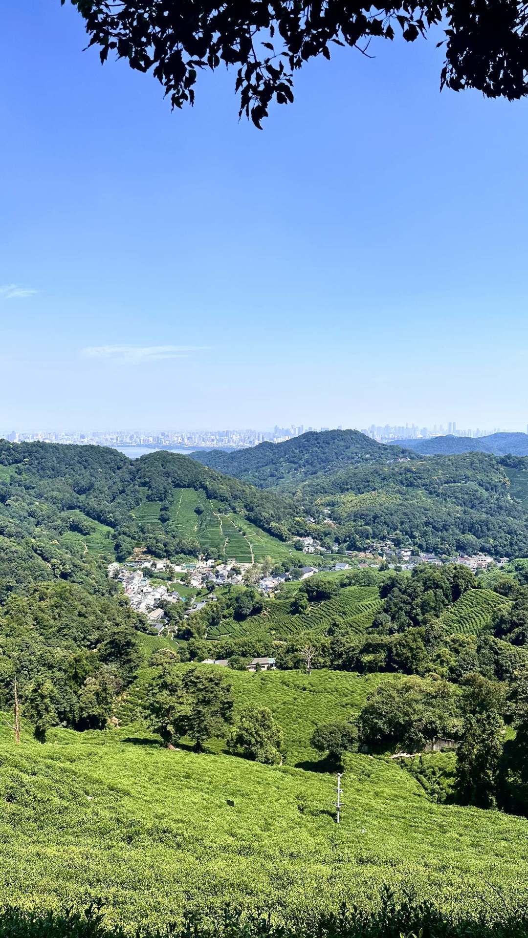 阵风8~9级、降温4~6℃:这个周末,户外的冷是风不是温度