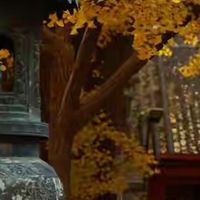 双十一首购蛋白粉：三步判断法帮你锁定适合自己的那一款