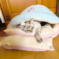 冬季温暖猫窝，我们家老大老二都很喜欢