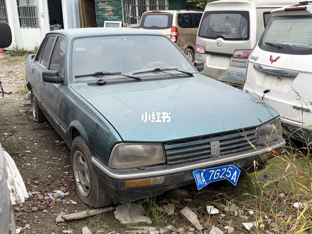 汉密尔顿的F40、地平线6的车房宝物、65年没动的别克: