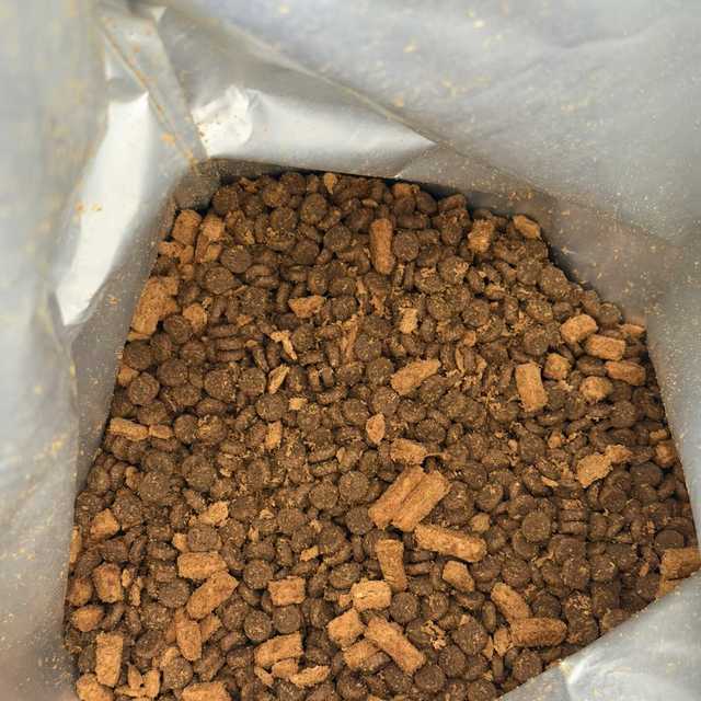 双11爱肯拿降价潮刷屏：240的袋子先别急着冲，翻到背面看批次才是今年第一课