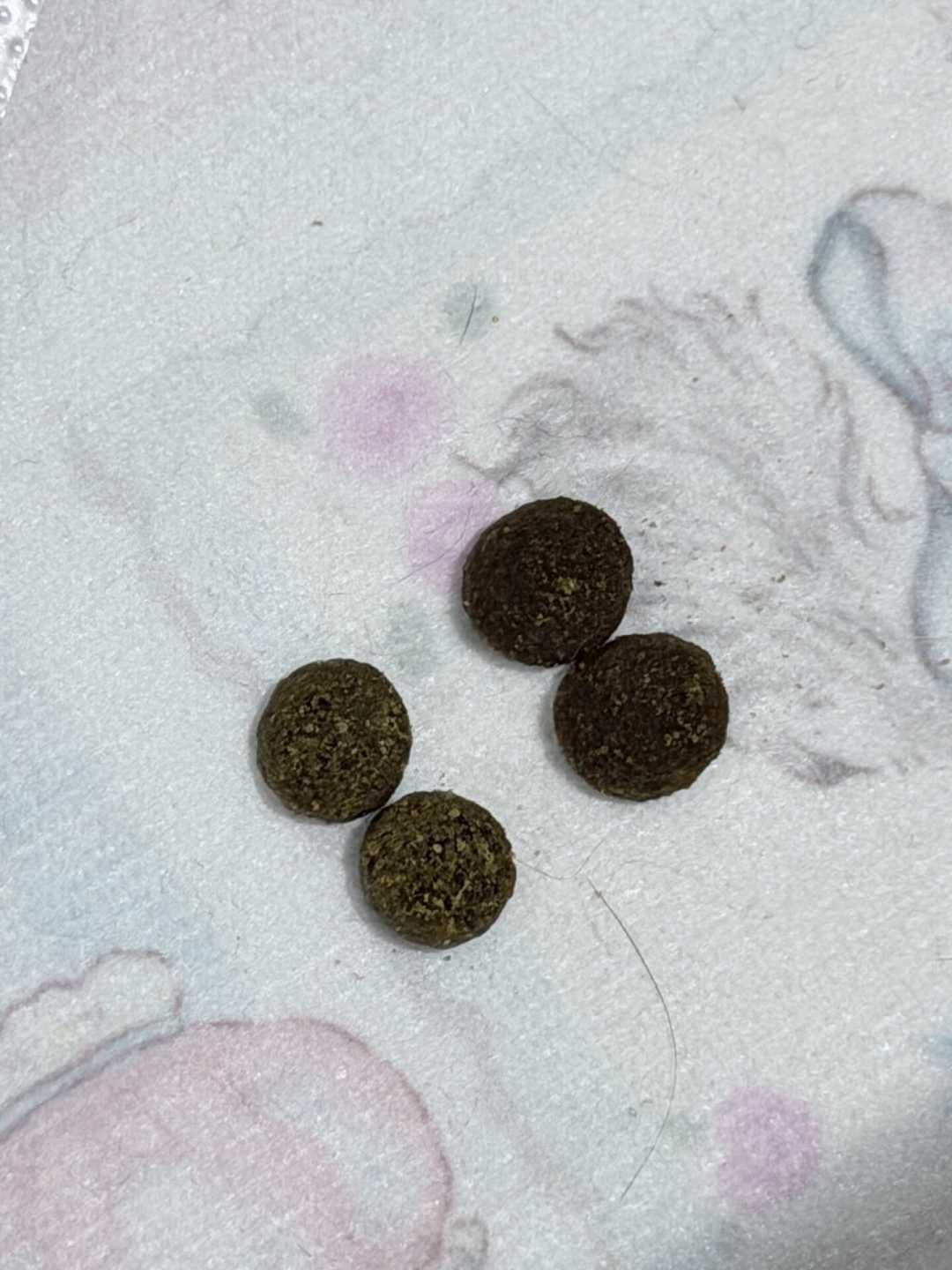双11爱肯拿降价潮刷屏：240的袋子先别急着冲，翻到背面看批次才是今年第一课