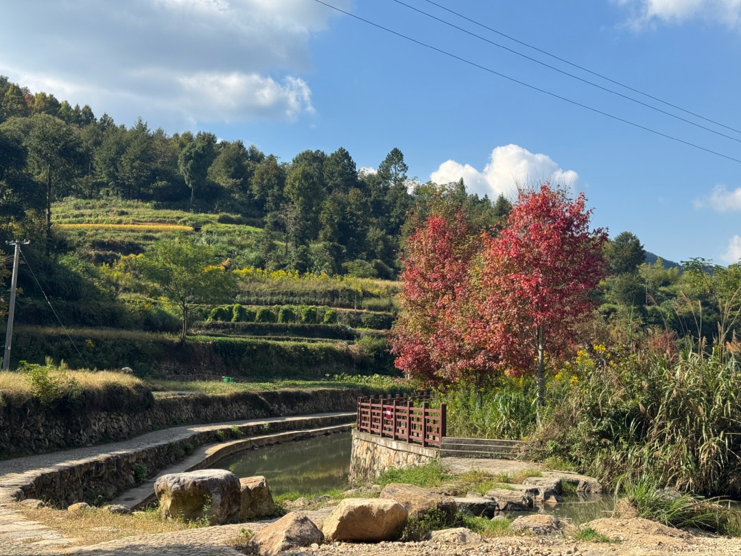 刷到的赏枫古道都红透了?10月26日南黄实况还绿着——江浙沪8条古道的窗口表