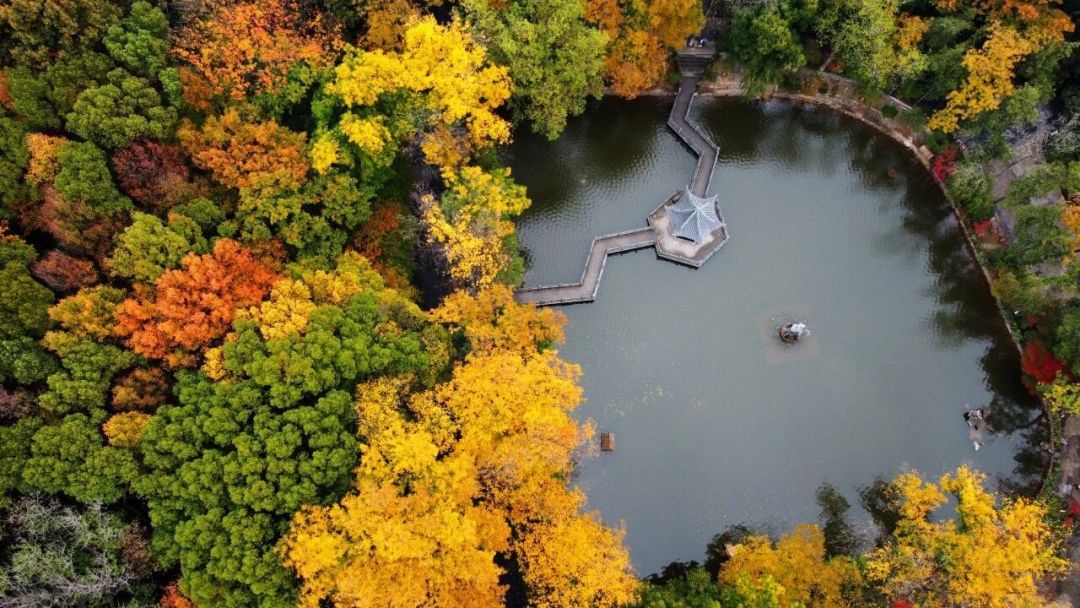 刷到的赏枫古道都红透了?10月26日南黄实况还绿着——江浙沪8条古道的窗口表