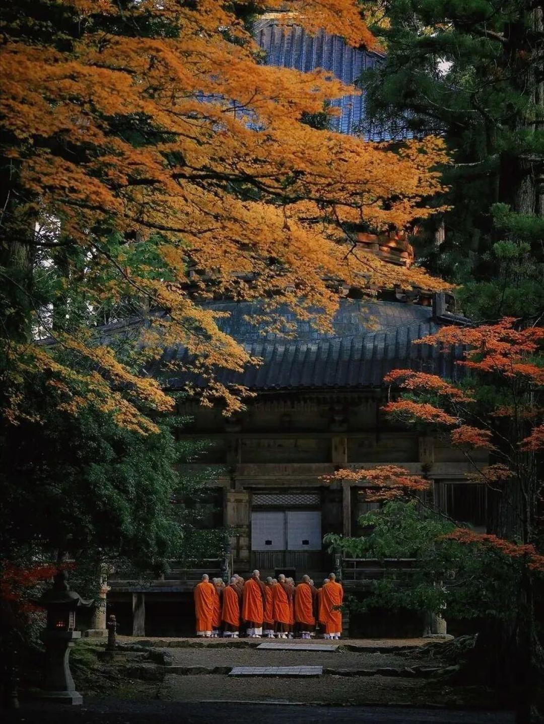 3978元自走、6990元报团、满屏都是雨:今秋想去熊野古道,先解开三个结