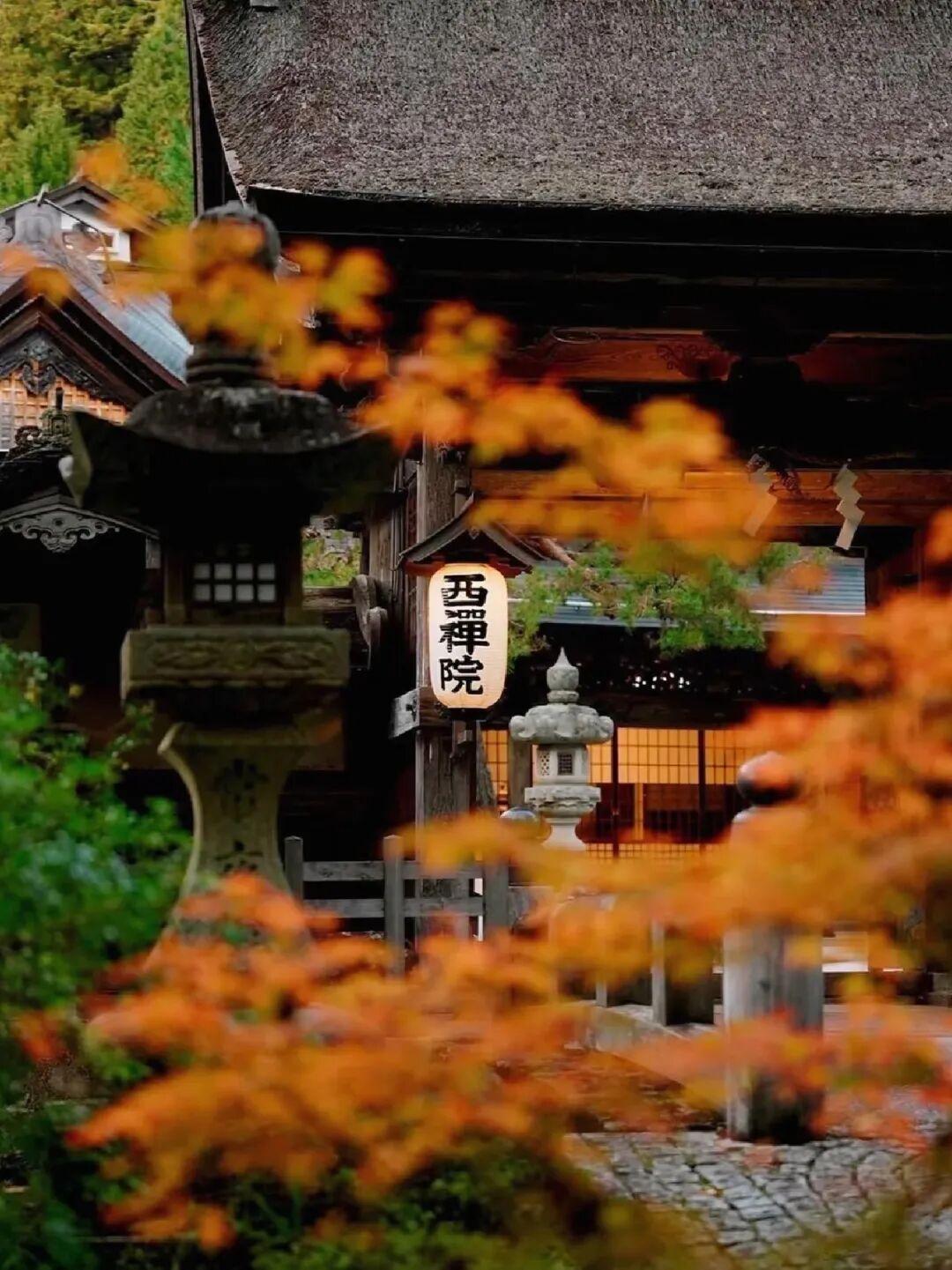 3978元自走、6990元报团、满屏都是雨:今秋想去熊野古道,先解开三个结