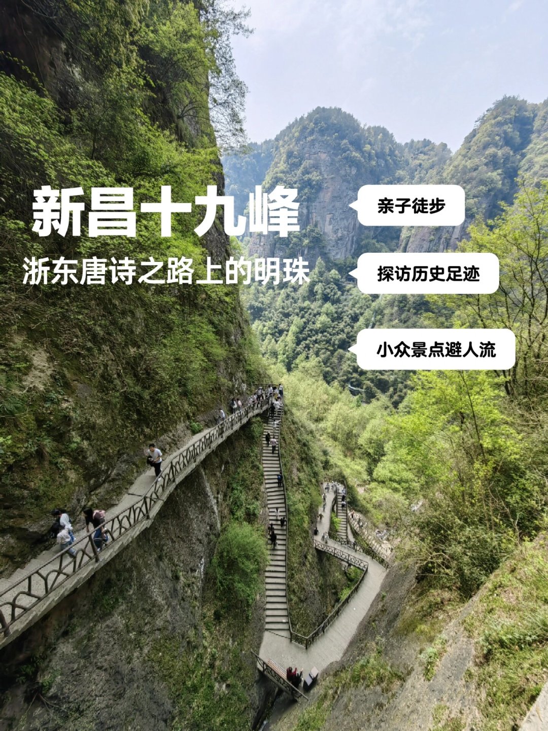 01版笑傲江湖评分从5.9反升到8.4:拆完4000多条评论,翻案的不是剧