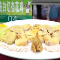 吃清淡越吃越饿、秤却纹丝不动：知乎10月的热问和B站4346条评论，都在指你那份"假减脂餐"——先把缺的那一掌肉补回来