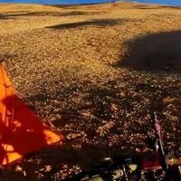给父母买鱼油前，我把标签背面读了一遍