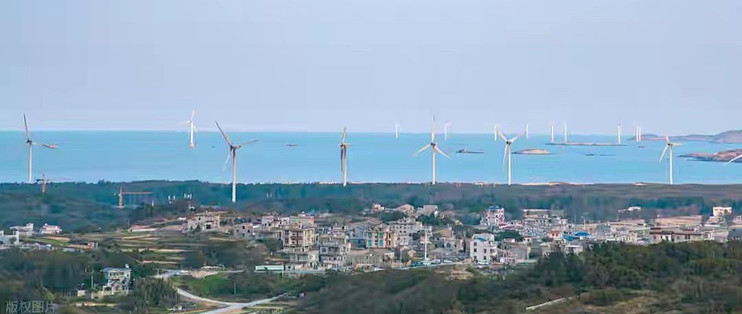 给家里长辈挑磷虾油，我先把配料表和每日用量算了一遍