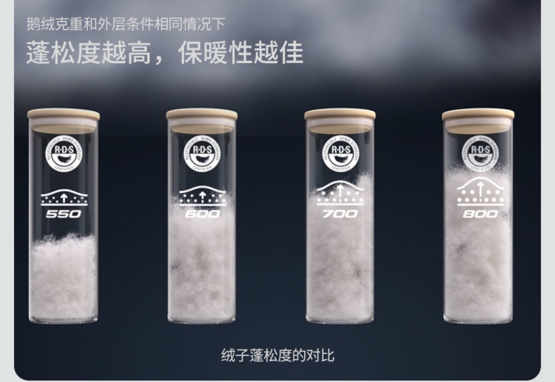 北面羽绒服不止1996：Nuptse三兄弟和紫标，各有各的主