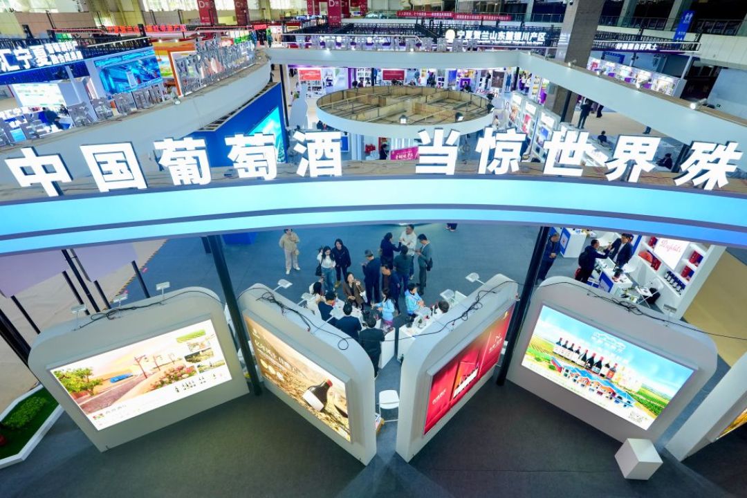 双11白葡萄酒，现在买还是再等等？先把4个价格锚摆开，再谈