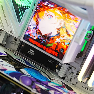 SSD价格高企，装机扩容合理消费降级，凸显质价比选酷芯客P300Pro