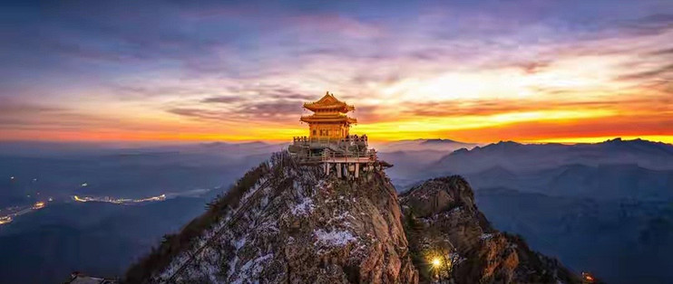 胶原蛋白面膜怎么选？五款产品的成分思路