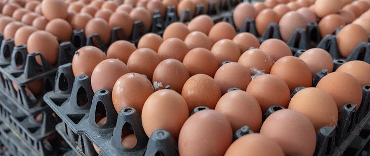 人体必需元素硒，可以杀死癌细胞？适当多吃5种食物，不怕缺硒