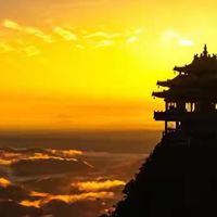 复购同一款益生菌，我会重新核对这五项