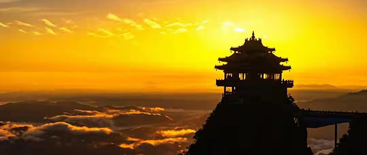复购同一款益生菌，我会重新核对这五项