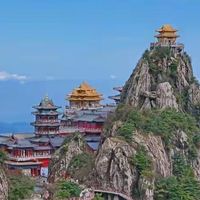 淡干海参选购：先看水分再比蛋白
