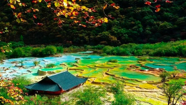 五款磷虾油放进备选清单后，我把问题缩成了三句