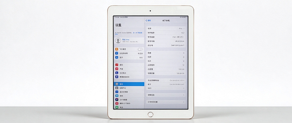 原价3388元女生一手iPad6流入小黄鱼！128GB成色好还值480元吗？