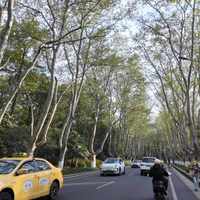 年轻人骑小电驴出街图鉴：从通勤代步到潮流穿搭新宠