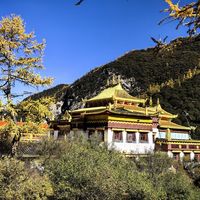 去稻城亚丁看场秋日童话：秋色已到巅峰，免门票只剩最后4天