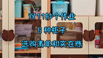 双11抄个作业：6 种柜子的选购清单和实在账