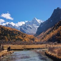 稻城亚丁的秋日童话进入倒计时：彩林近全黄，免票期10月31日截止