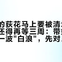 西海子的荻花马上要被清场，汉口江滩还得再等三周：带娃赶今年最后一波"白浪"，先对这张实况日历