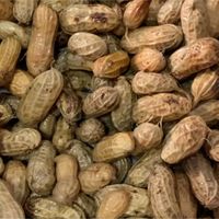 花生是血脂"杀手"吗？最新研究：不是，但这个前提很重要