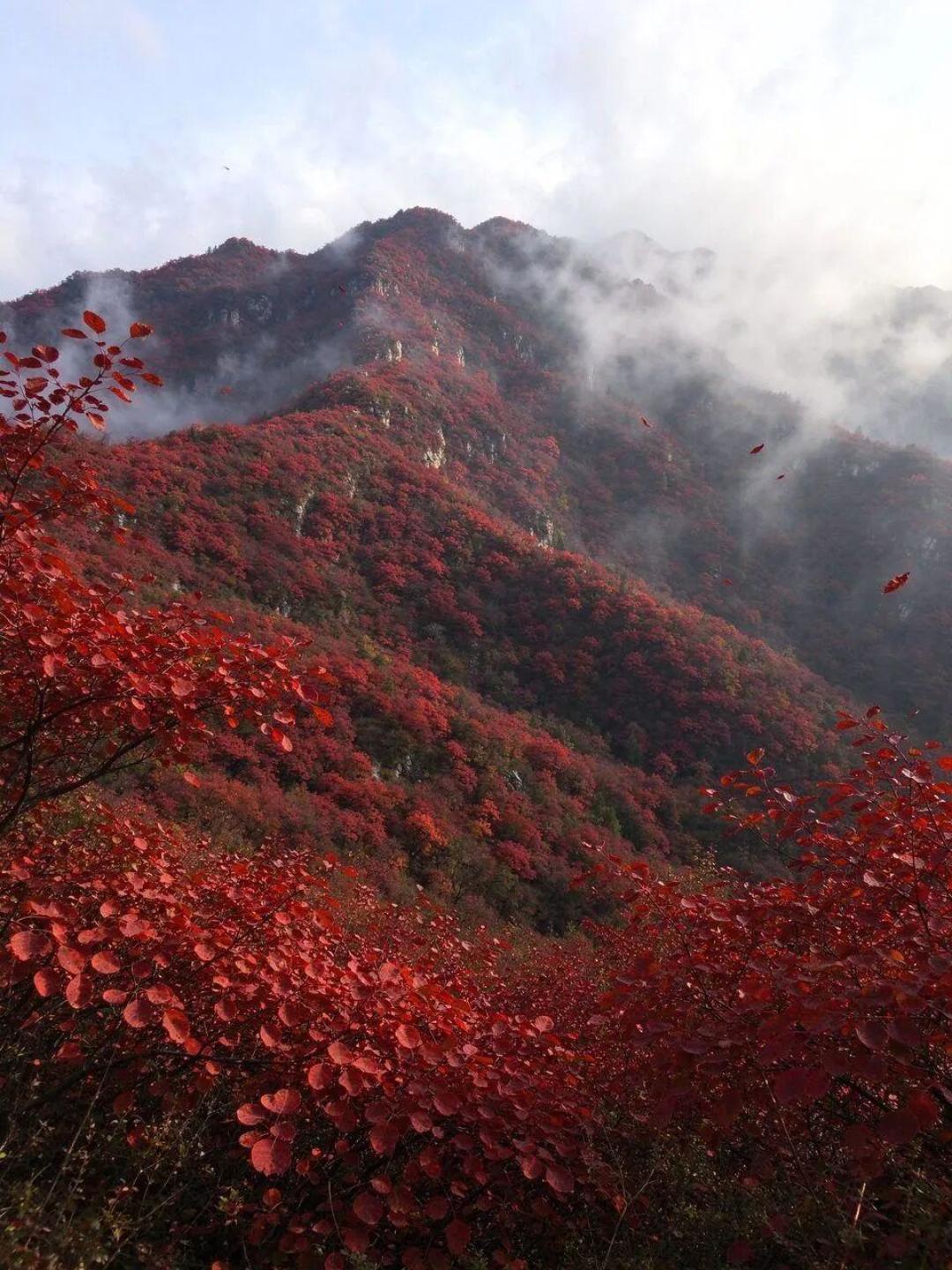 雪来抢红叶的班了：入冬第一个周末进山，先换掉这3个夏天习惯