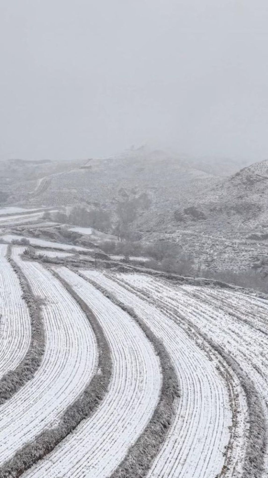 雪来抢红叶的班了：入冬第一个周末进山，先换掉这3个夏天习惯