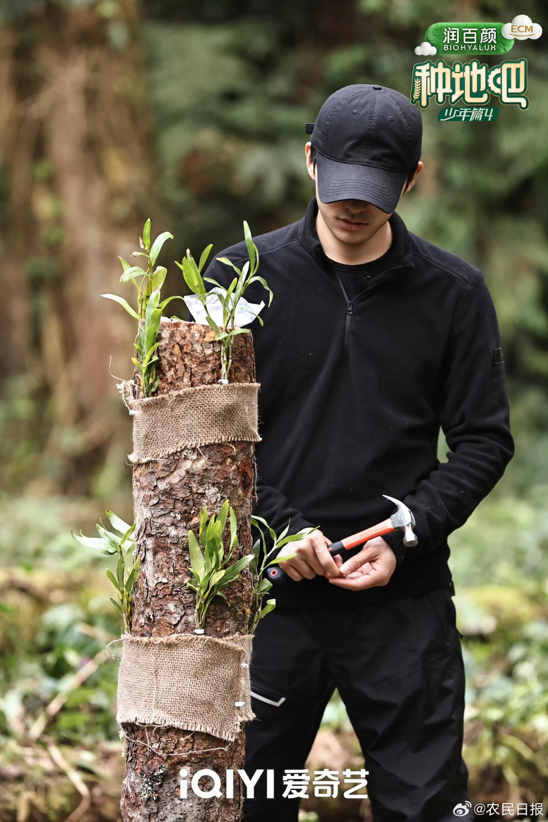 微博视界大会票选收官:八个赛道第一,为啥没有一个是你正在追的剧?先看两张表再决定补什么