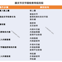 爱德华兹接受何种手术？右膝关节镜最长歇两个月，NBA常见伤病恢复周期一次看懂