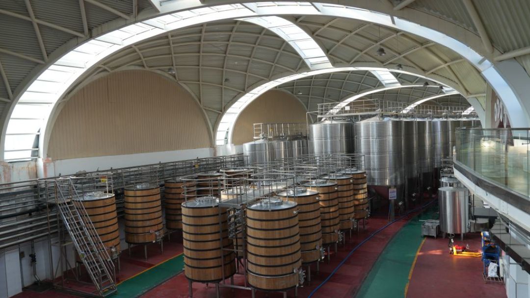 白葡萄酒挤进冰柜,五六十元一支:红酒让出的饭桌,正被深夜的便利店接住