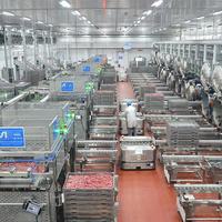 鸡脖泥标成“鸡肉”端上烤肠：河南暗访揭开肉制品行业三条潜规则