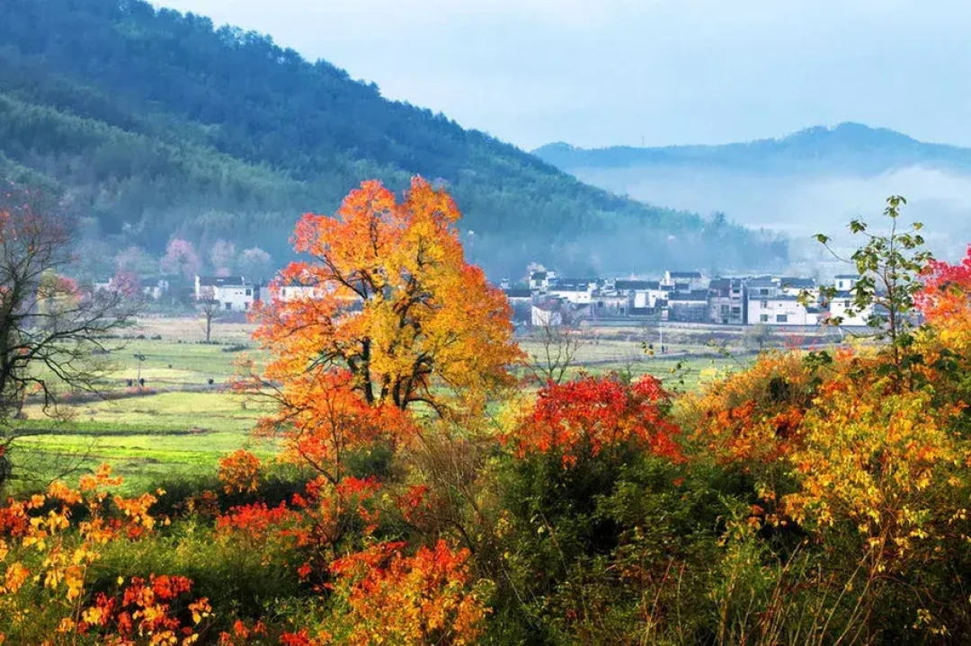 免票都落在工作日:13城300多家景区对深圳人免票的9天窗口,出发前先对完身份、请假、入园三本账