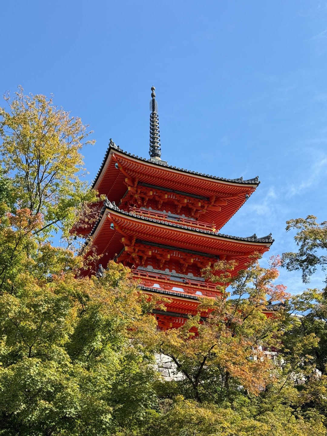 别急着锁日期！2026红叶前线整体推迟：京都市区12月11日才见顷、酒店已翻10倍——今年追枫先锁房再锁票