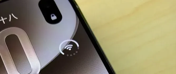 全网第一例！破防了，iPhone Duo外屏绿线：没摔没磕碰