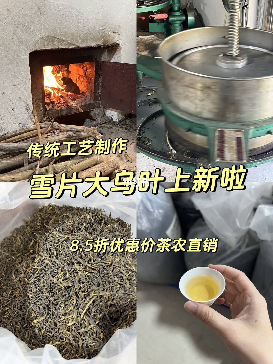 单丛