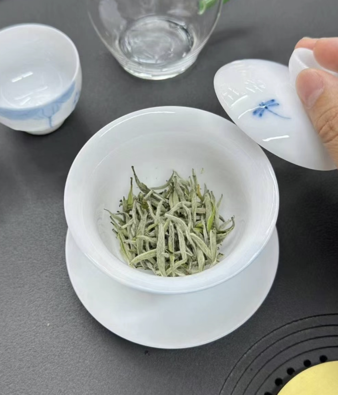 「网上几十块一饼的十年老白茶」撞上「福鼎商家烧仓里的茶、亏20万只是起步」:双11囤白茶党,付定金前先把价梯、年份、退路这三本账对完